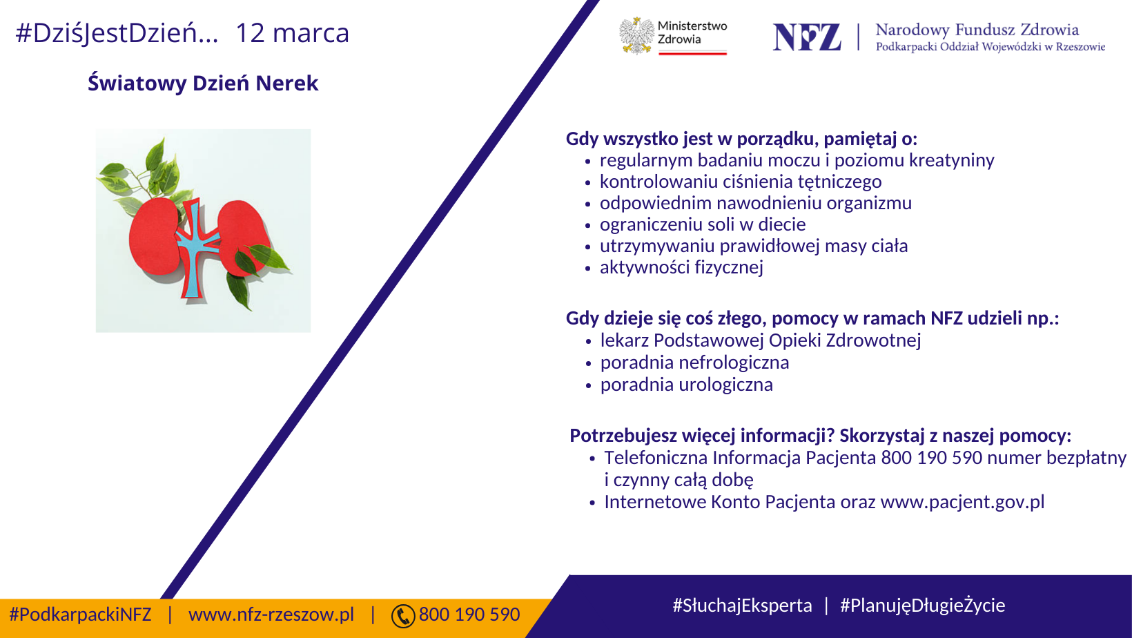 12 marca - Światowy Dzień Nerek
